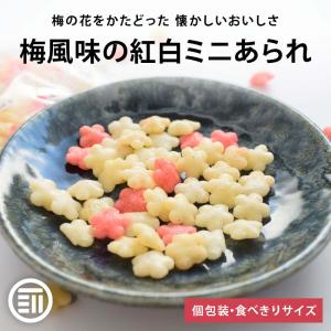 初穂製菓 梅あられ 小さな小さな姿あられ ミニ梅紅白 メーカー公認 お徳用業務パック メーカー直送品 お取り寄せ お茶請け おやつ 500g○商品_09000 - メルカリ