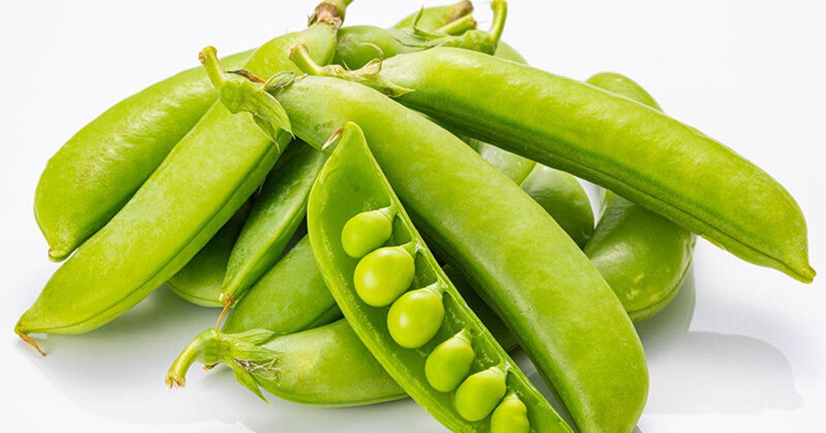 サヤエンドウ、スナックエンドウ スナップエンドウ の育て方・栽培方法失敗しない栽培レッスン 野菜 サカタのタネ 家庭菜園・園芸情報サイト 園芸通信