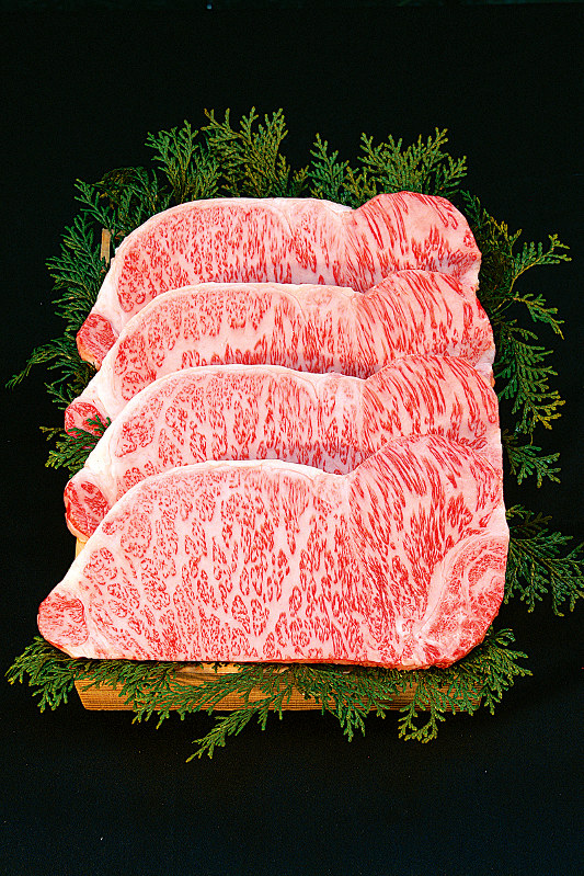 大好きなお肉料理ランキング焼肉情報館ジャン 焼肉サイトモランボン