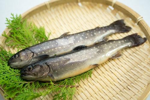 川魚はこう食べろ！！たった５つの手順で美味しい塩焼きが食べられる方法キャンプ初心者向け総合情報ブログ Hyper Camp Creators