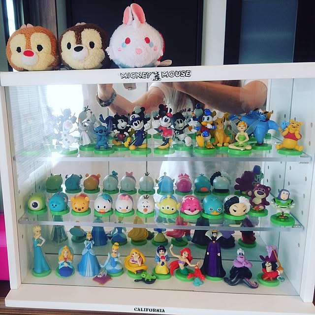 チョコエッグ空カプセル48個