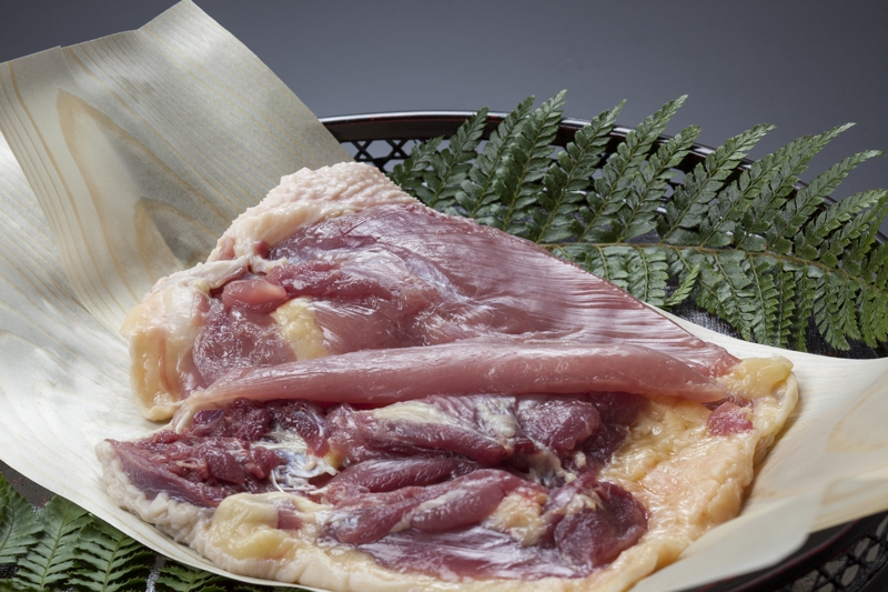 キジの餌付に成功しました - 田川ＲＣ応援団