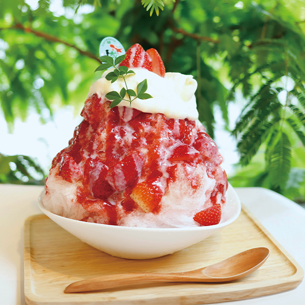 奈良かき氷奈良かき氷ガイド2024を入手しました。 ＋掲載店行ってきました- 今世紀中になんとか