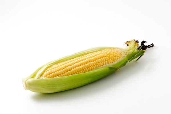 食べ物・栄養・野菜・夏 トウモロコシさんのかわいいフリーイラストフタバのフリーイラスト