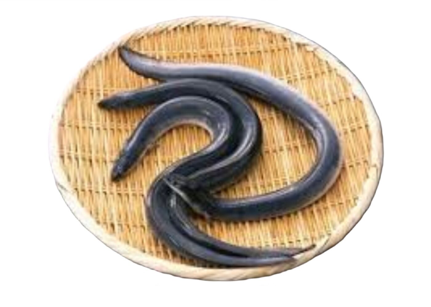 活 うなぎ」の人気商品一覧安い商品を通販サイトから探す - 価格.com