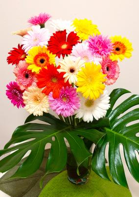 レシピ ホイル焼き「グリルでとろ〜りチーズハンバーグ」東京ガス ウチコト