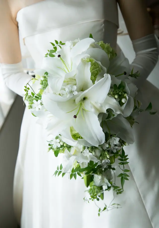 葉が大きい観葉植物12選！人気の種類や主な魅力などを紹介胡蝶蘭・スタンド花のプレミアガーデン