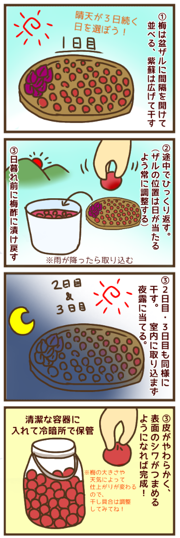 昔ながらの手作り 酸っぱい梅干 1kg 昔ながらの梅干しの作り方！酸っぱい本格派レシピを