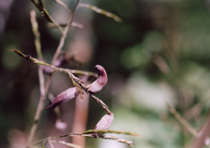 むささびパン工房では12 7よりチーズフェアがスタートしました！！ 毎年人気のチーズを使ったパンの数々をぜひお楽しみくださいね！mykawachinagano河内長野パン屋くろまろの郷河内長野グルメ奥河内グルメ道の駅奥河内くろまろの郷道の駅奥河内くろまろの