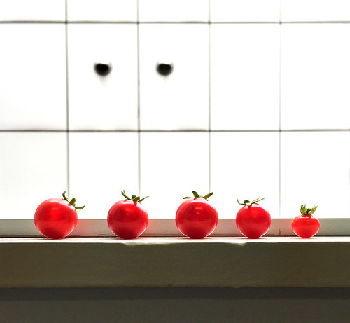 とまとの整枝、連続摘芯栽培 : スーの家の自然栽培で家庭菜園12ヶ月