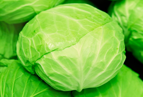 キャベツの重さはどのくらい？カットしたときの重さや100g当たりの量も解説！ - トクバイニュース