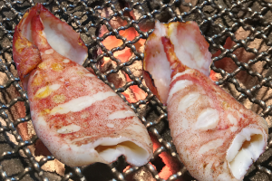 いかをバーベキューで楽しもう下処理やおすすめレシピ紹介！BBQ HACK バーベキューハック