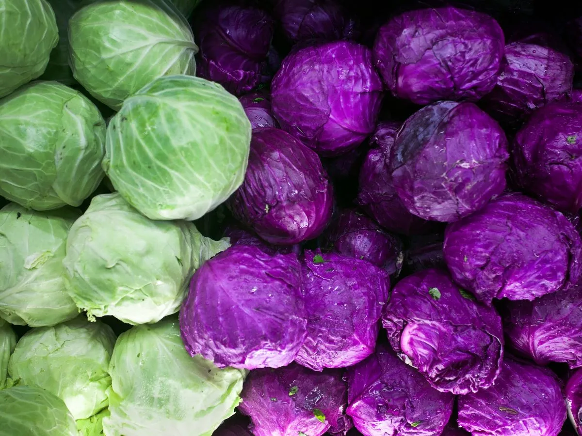 2020年小学生の夏休みにおすすめ！ ヒスイ色に変わる驚きの冷やし中華など、楽しい・おいしい・お手軽な「クッキング自由研究」エデュナビ byinter-edu