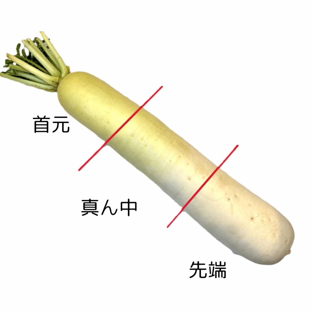 大根の部位別の特徴 辛い部分はどっち？ 大根おろしに向いているのは？季節の食材のHOW TOアマノフーズ公式ブランドサイト