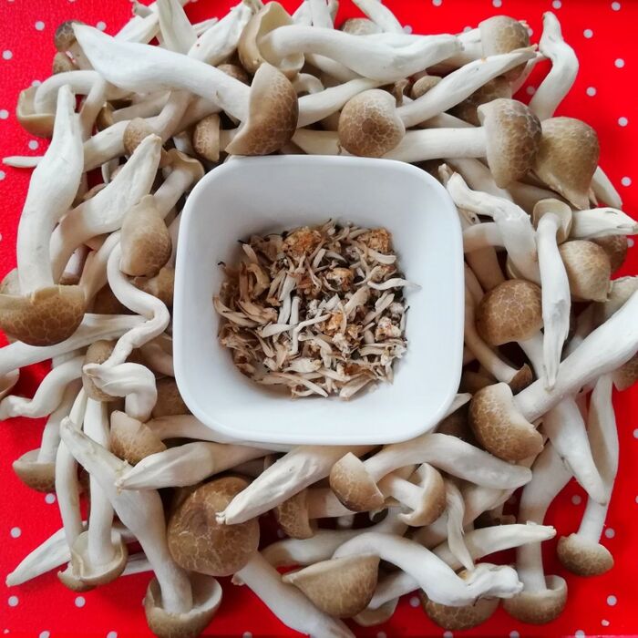 皆様お久しぶりです☺️ 今日は、皆様にクイズ！ 普段は、ぶなしめじって洗いますか？ ① 洗う ② 洗わない 皆さん、ぜひコメント欄で教えてください！ミスズライフ長野飯綱信濃町津南栄村能登西海那須塩原そのまま使えるぶなしめじぶなクイーン