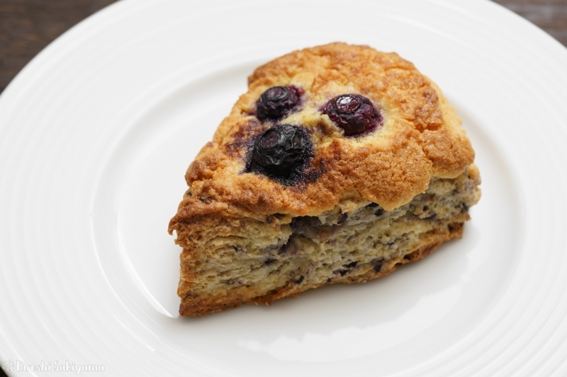 スタバ「ブルーベリースコーン」を食べた感想 口コミ- イギーとポル 福岡グルメ