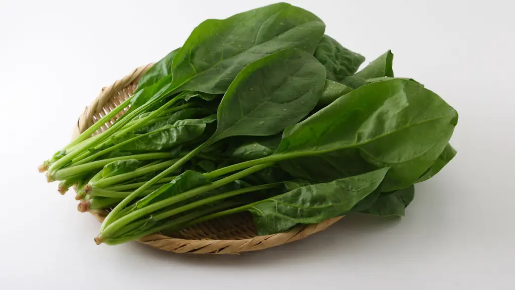 ほうれん草のプランターでの育て方・栽培方法