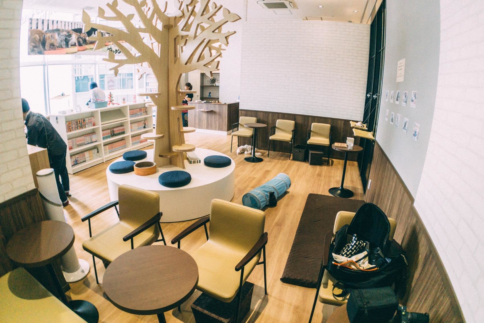 八王子で一番美味しいかき氷を目指しました 暑い🥵八王子の乗り越えるために2階アポロンフルーツガーデン @apollon_fruit_garden のエスプーマかき氷はいかがですか？『エスプーマ』とはスペイン語で『泡』o○ 泡のようにふわふわなエスプーマソースのかかった３