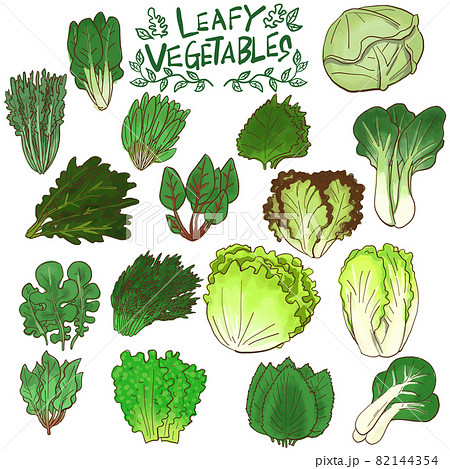ベジ得 旬を迎えた冬の葉物野菜