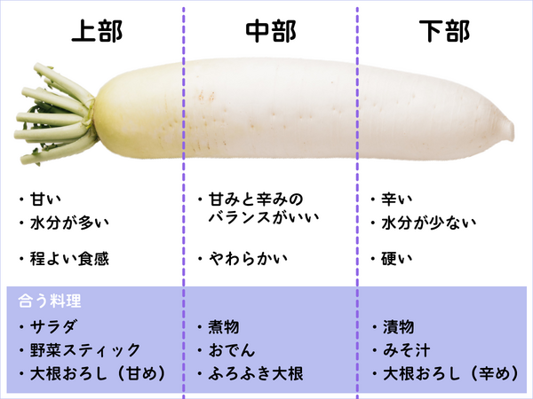 大根 部位別3スタイル調布駅徒歩3分医療法人社団 東山会 調布東山病院