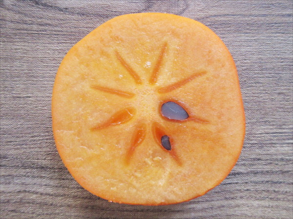 柿の種の断面図彼女の人生いつでも晴れ