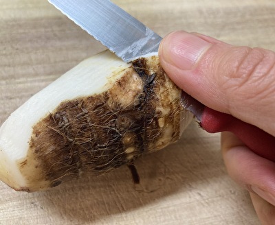 メトイカ 小イカ の丸焼きレシピ│魚、タコ、イカの七輪レシピ│七輪で作る、エコなアウトドアレシピ