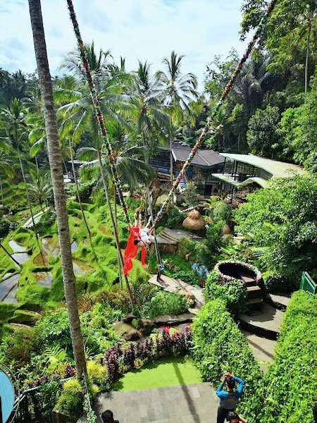 テガラランのライステラス へバリ島の大自然を見に行こうバリ姫