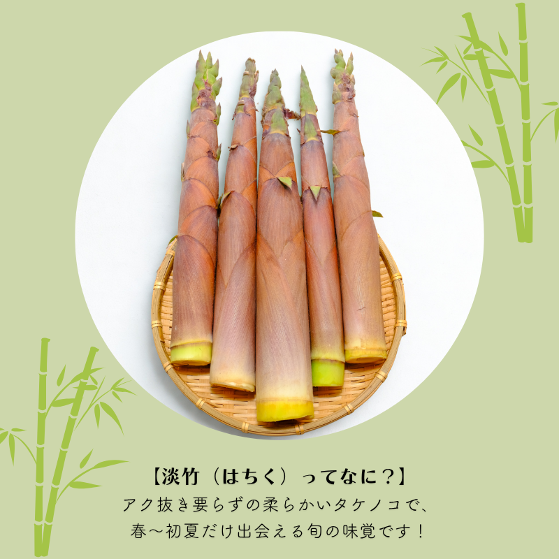 信州の山 新世紀元年 またまた、タケノコ南信州お散歩日和