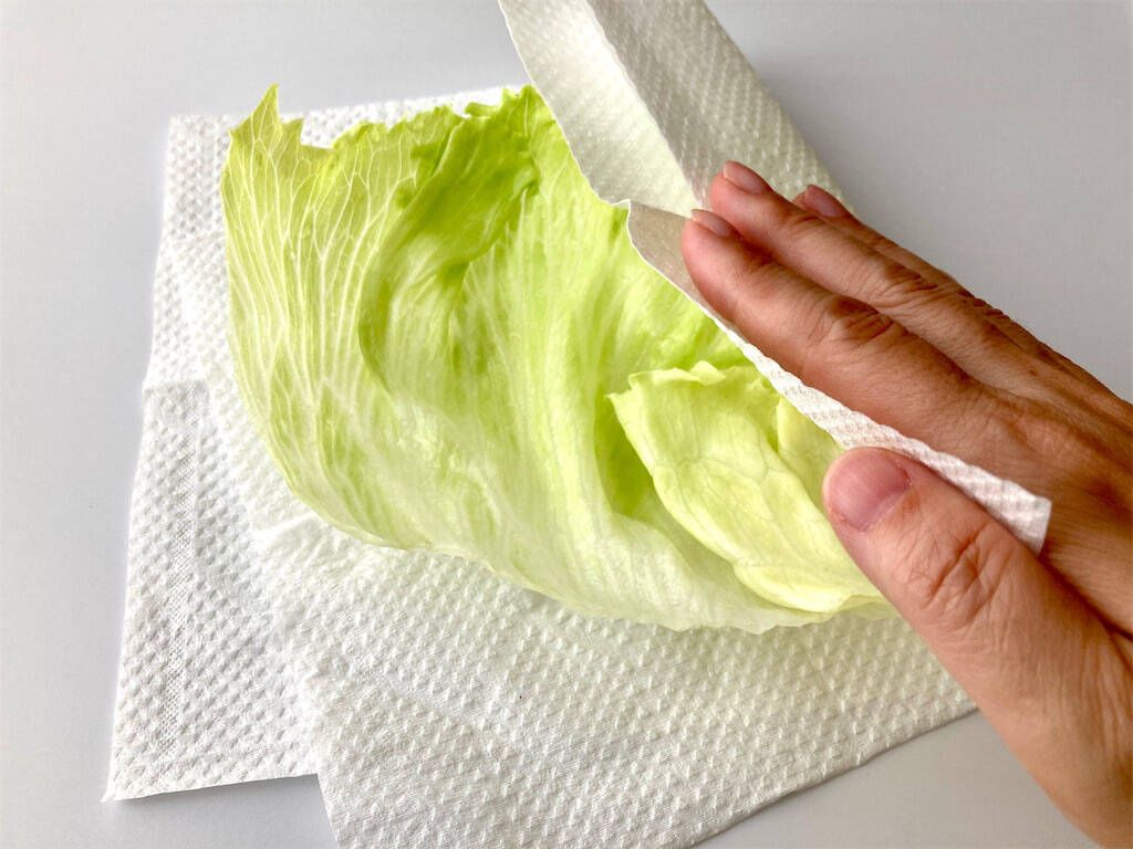 ちぎったレタスも保存可能？冷蔵庫に入れる前の一工夫や正しい冷凍方法ふるなび公式ブログ ふるさと納税DISCOVERY