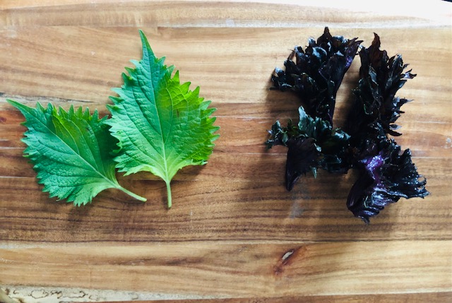 大葉 しそ の冷凍保存。解凍不要で超便利！保存方法と活用レシピやまでら くみこ のレシピ