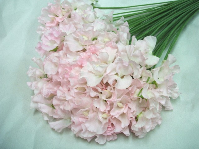 生花 スイートピー 薄ピンク品種おまかせ 45cm 愛知県 Flower Smith Market フラワースミスマーケット