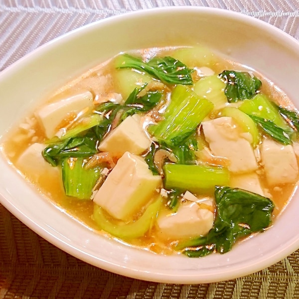 中華料理の定番！ チンゲン菜 青梗菜 ってどんな野菜