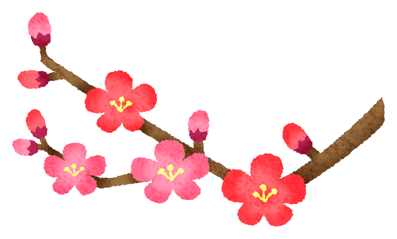 かわいい梅の花のイラストセット171777758- イメージマート