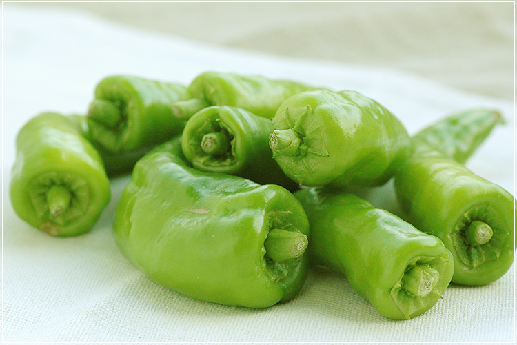 ぐるぐる巻いて♪ 甘長ピーマンの豚肉巻き