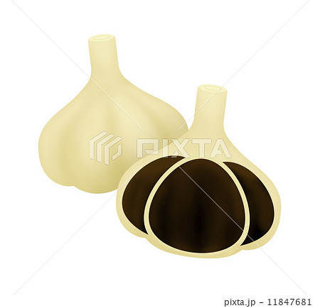 鹿児島ジャンボにんにく 乾燥 バラ