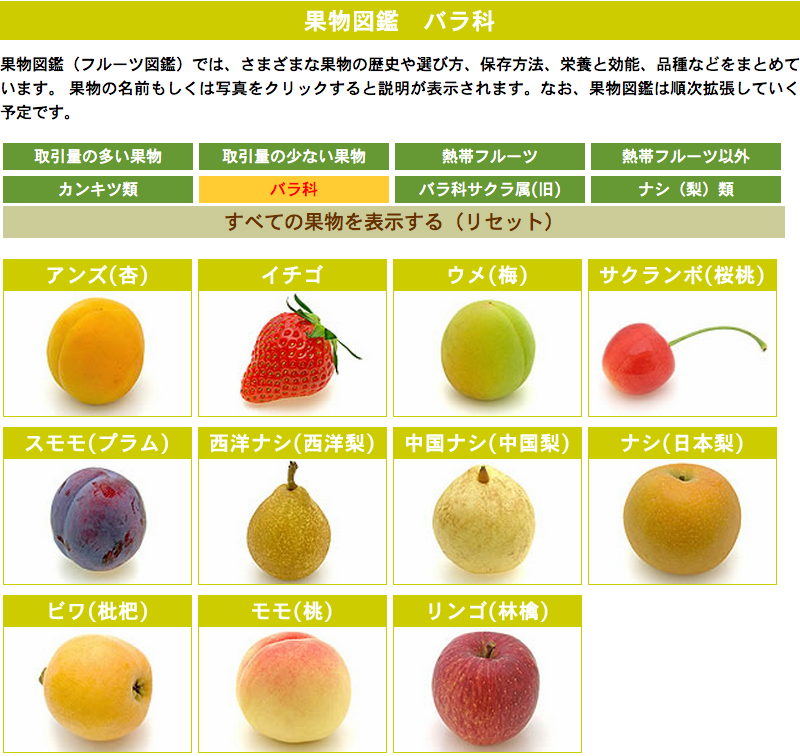 果物のイチゴと同じ仲間。「シロバナノヘビイチゴ」の赤い実。 学名：Fragarianipponica 32203011099 の写真・イラスト素材アマナイメージズ