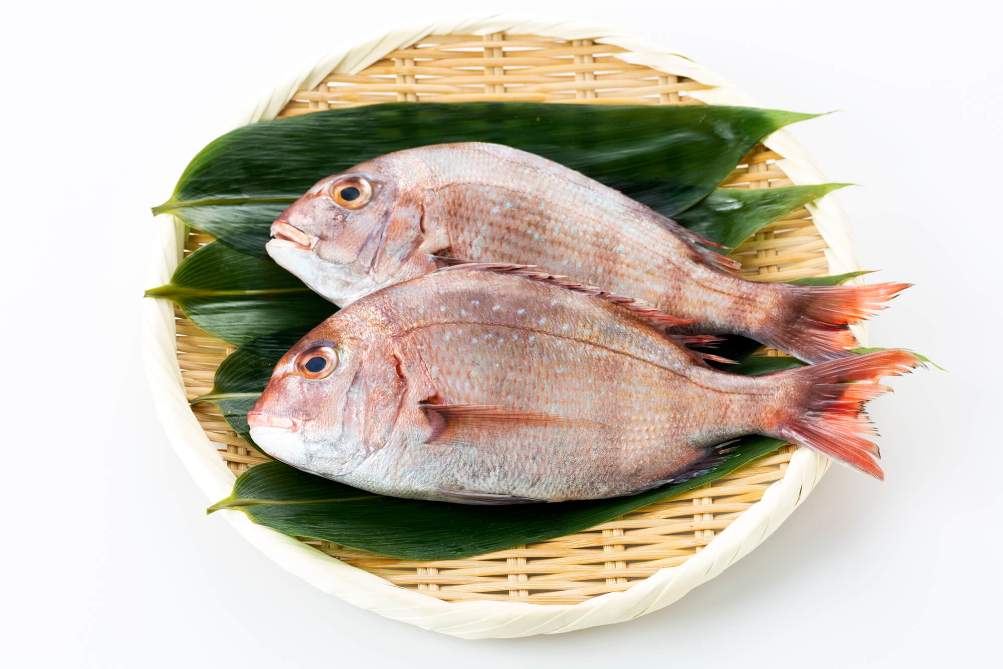 ぶり大根旬のもの暦生活日本の季節を楽しむ暮らし