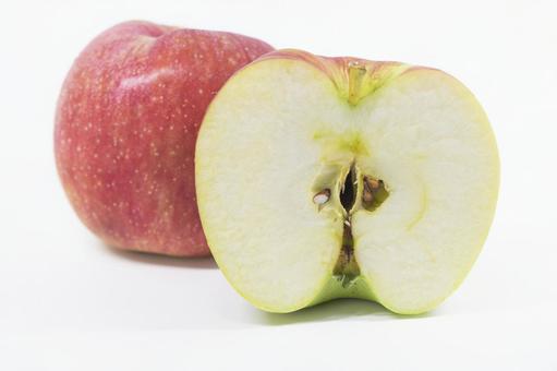 水彩で描いたりんごの断面図イラスト 無料素材イラストダウンロード