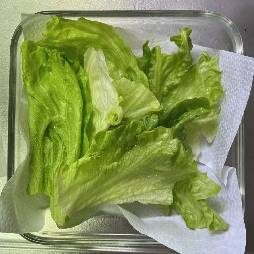 変色防止にも！ レタスを長持ちさせる『５０℃洗い』が必見な理由 – grapeグレイプ