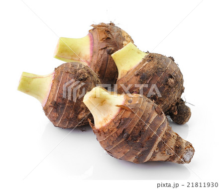 里芋の収穫時期の見分け方☆プロの里芋農家が教える種イモ保存方法魔法の便利帳