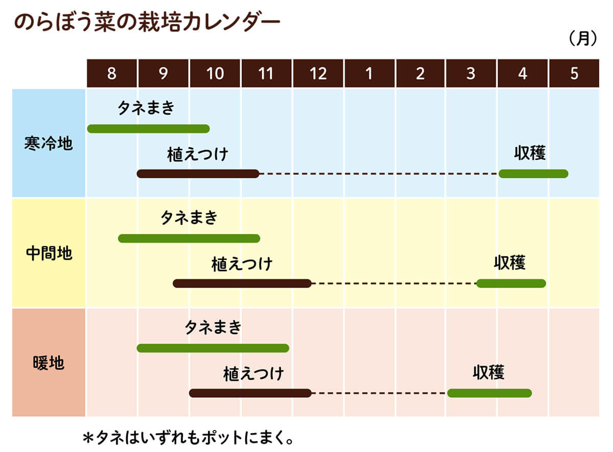 のらぼう菜の育て方わたしの野菜育て方図鑑