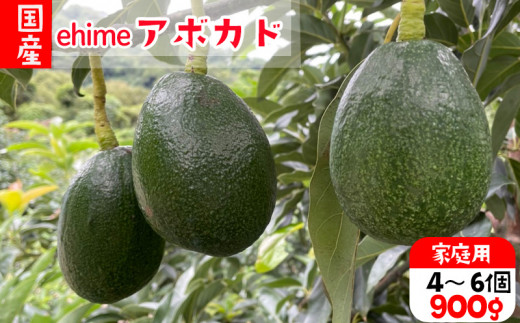 国産アボカド食べました藤崎ブルーベリーファーム