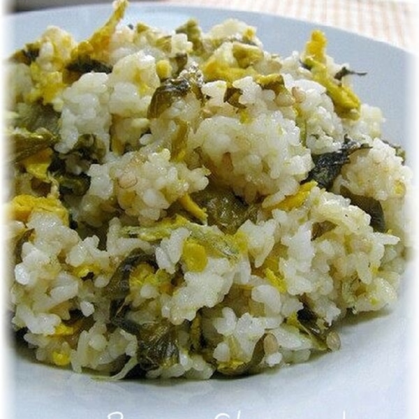 鮭と高菜の炒飯北海道ガス株式会社