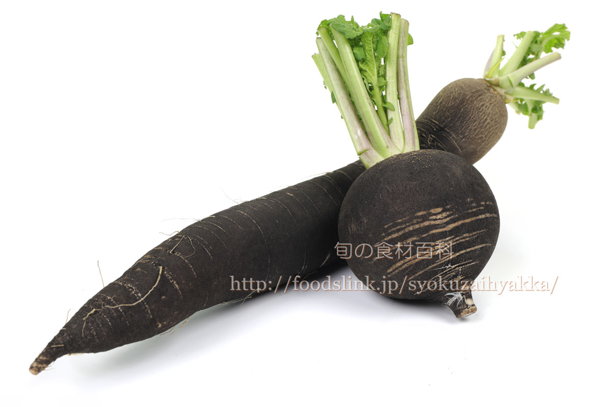管理栄養士が解説 中身が黒い大根は食べても大丈夫？黒くなる原因と対処方法 - トクバイニュース