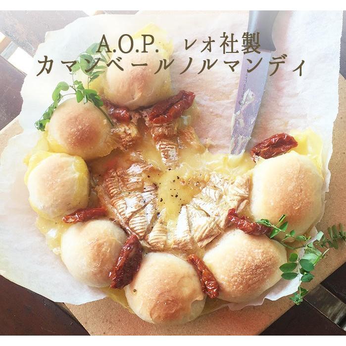 カマンベールチーズのローストフランス料理 フレンチ レシピ、イタリアンレシピ 赤ワイン煮込みなど家庭でできるレシピ