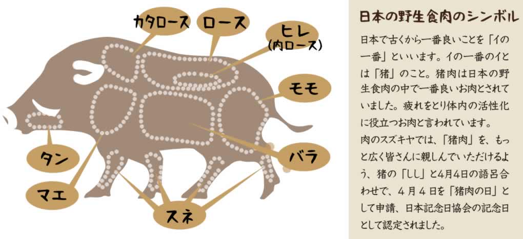 イノシシ肉についてgibiernomori