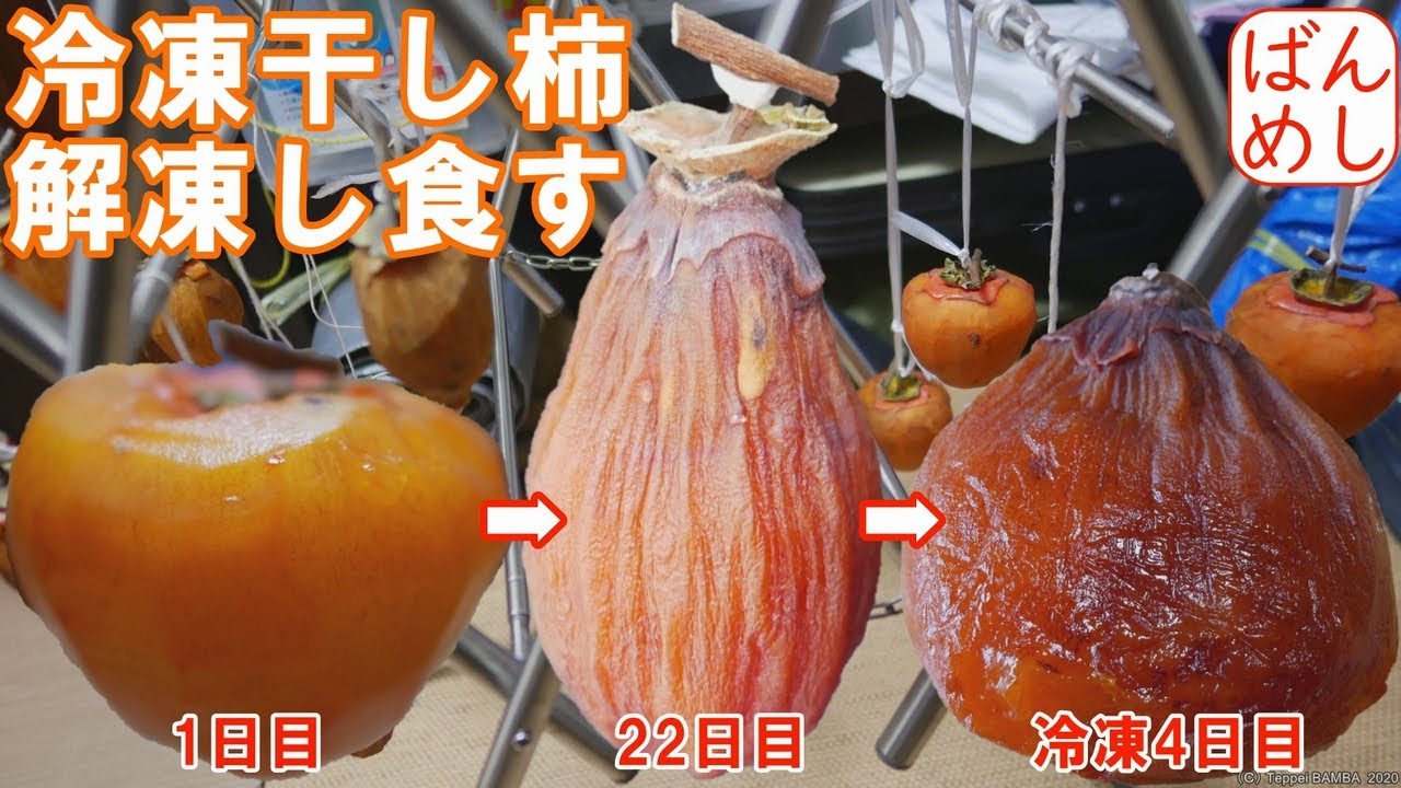 干し柿の保存方法は3つ！冷凍保存のやり方や固くなった干し柿を復活させる方法も紹介します - COCORO FARM VILLAGE
