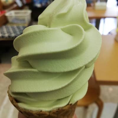 静岡旅2018 02 修善寺温泉にて「わさびソフト」を食して小銭難民になるの編