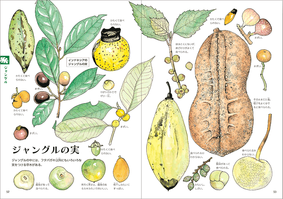 楽天市場 サンナッツ食品 野菜と食べる木の実 400gパックサラダ用 ナッツ : 生鮮食品直送便