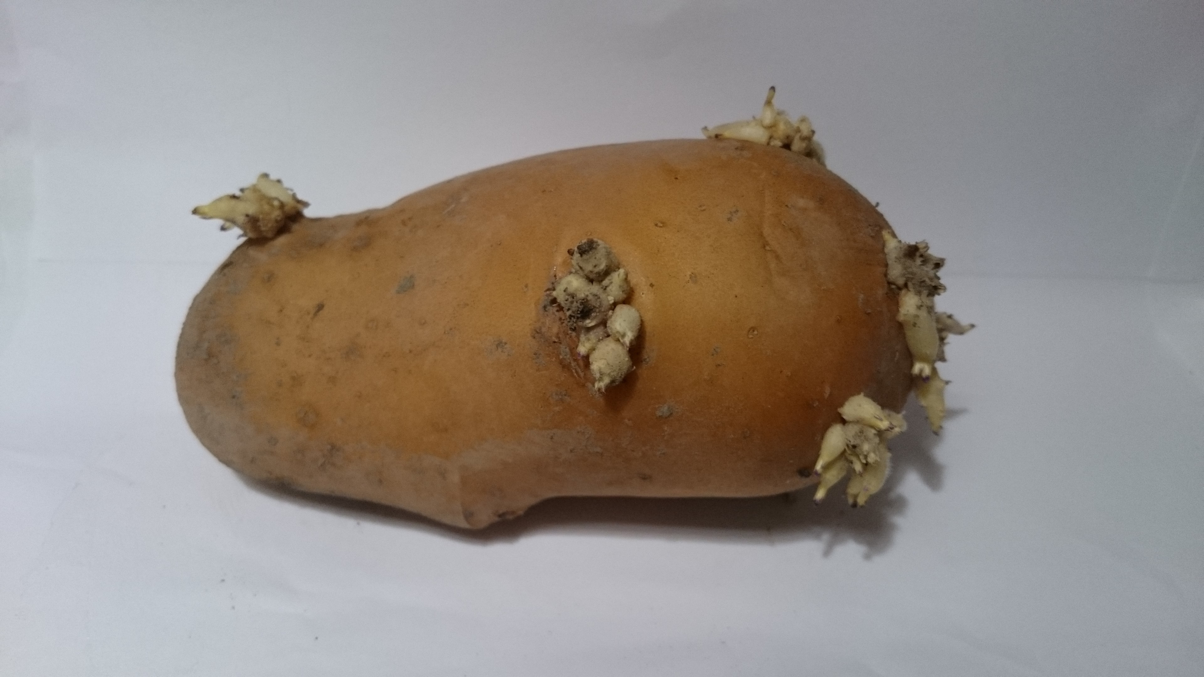 滝の茶屋駅周辺の美味しいランチ17店！おしゃれ人気店・絶品ランチグルメ 2025年- 一休.comレストラン